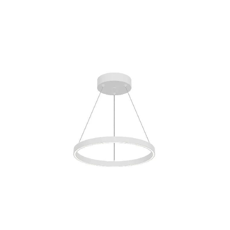 Modern Minimalist Ceiling Lights for Contemporary InteriorsCerchio LED Pendant