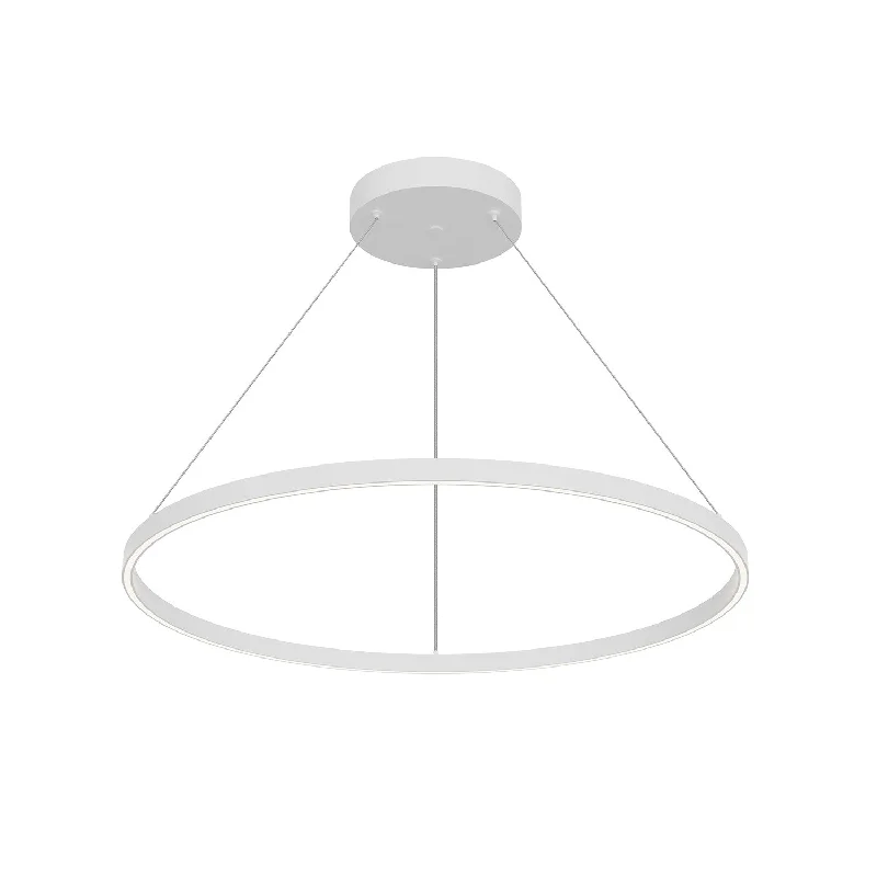 Scandinavian Style Ceiling Lights with Light Wood AccentsCerchio LED Pendant